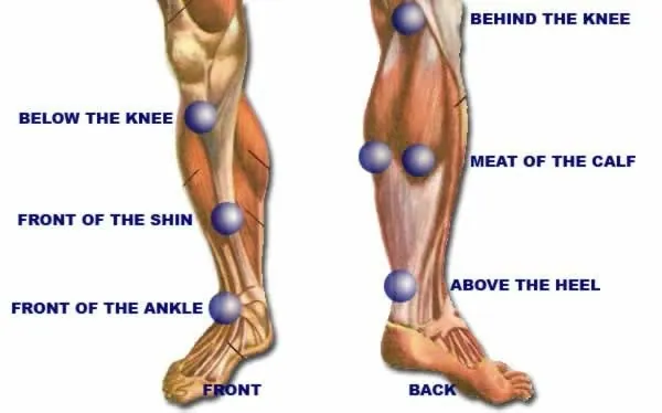 Walking tall the role of chiropractic care in alleviating le