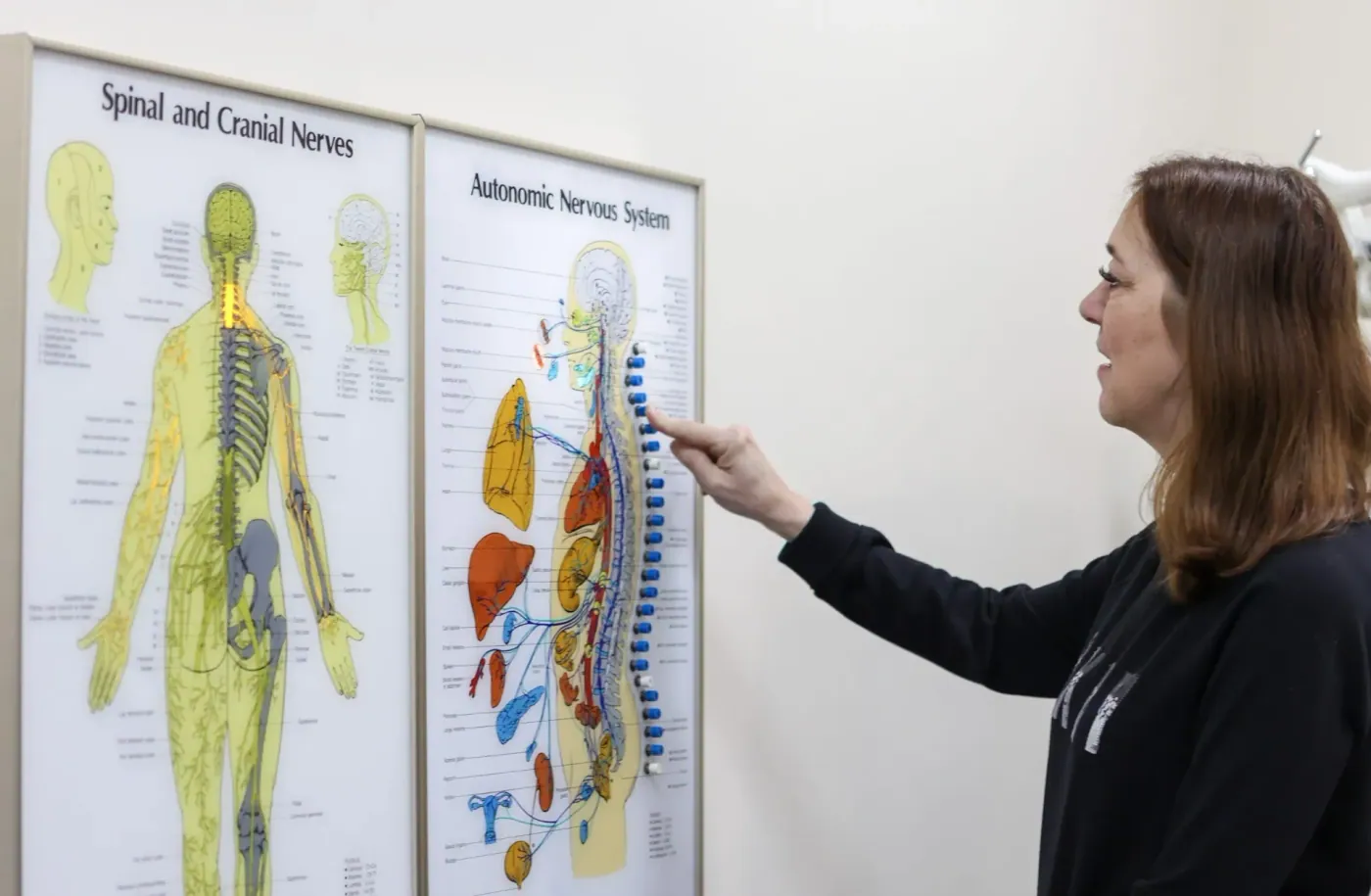 woman demo about spine
